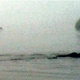 Illustration for article titled Kayaker Takes Best Ever Shot of English Sea Monster Using Cellphone